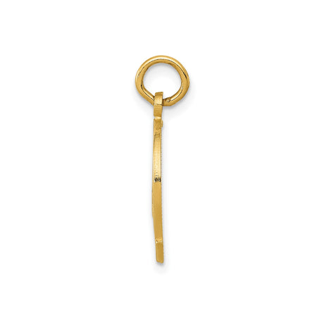 14k Yellow Gold Horseshoe Pendant with Good Luck Inscription, Unisex Talisman Charm