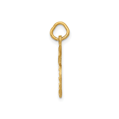 14k Yellow Gold Apple Pendant Charm with Cutout Design, Leaf and Stem Detail