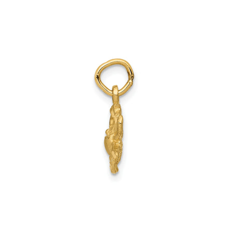 14k Yellow Gold Cancer Crab Zodiac Pendant with Horoscope Symbol, Astrology Charm for Women or Unisex