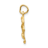 Satin Finish Leo Lion Zodiac Sign Charm Pendant in Real 14k Yellow Gold
