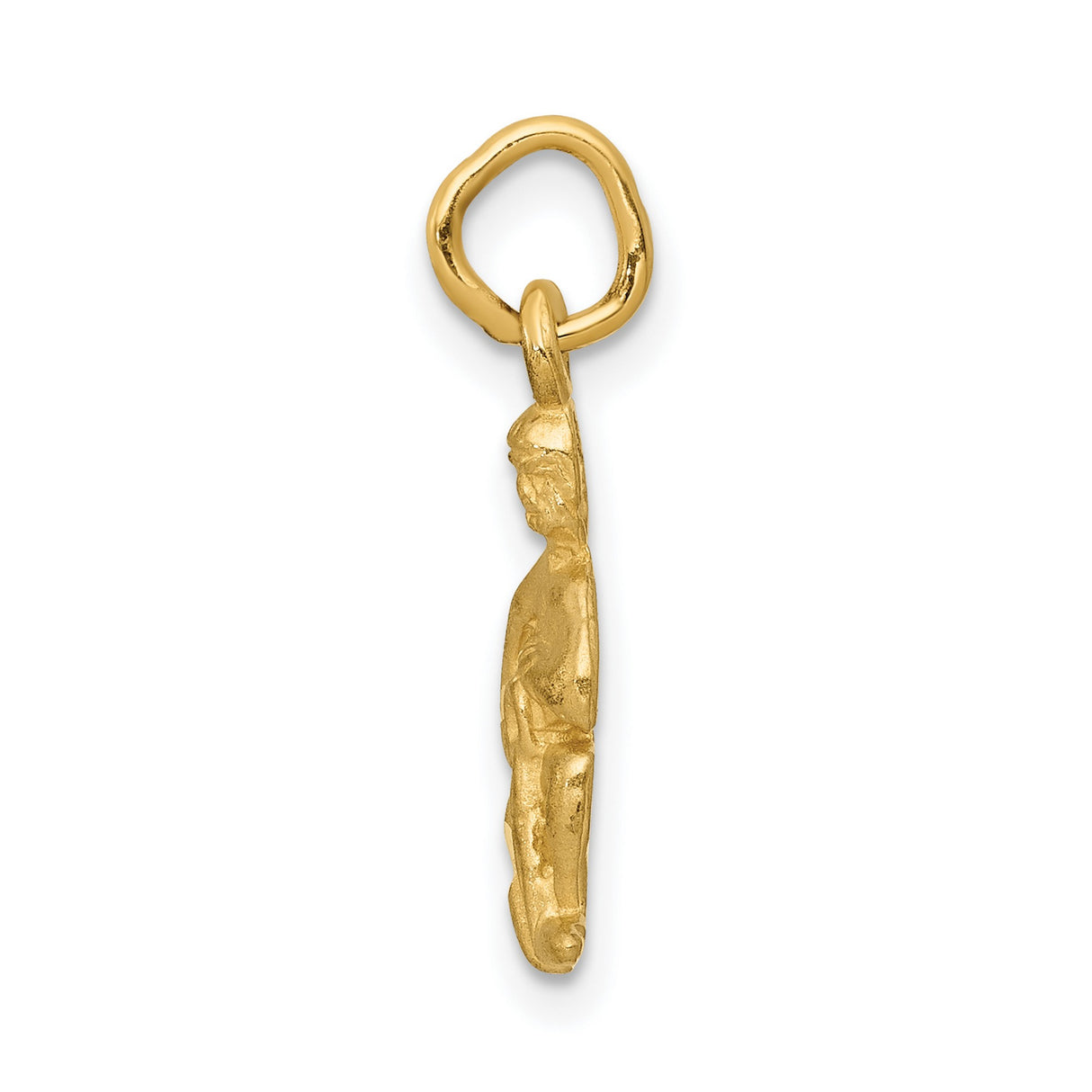 Satin Finish Water Bearer Aquarius Zodiac Sign Charm Pendant in Real 14k Yellow Gold