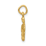 Satin Finish Water Bearer Aquarius Zodiac Sign Charm Pendant in Real 14k Yellow Gold
