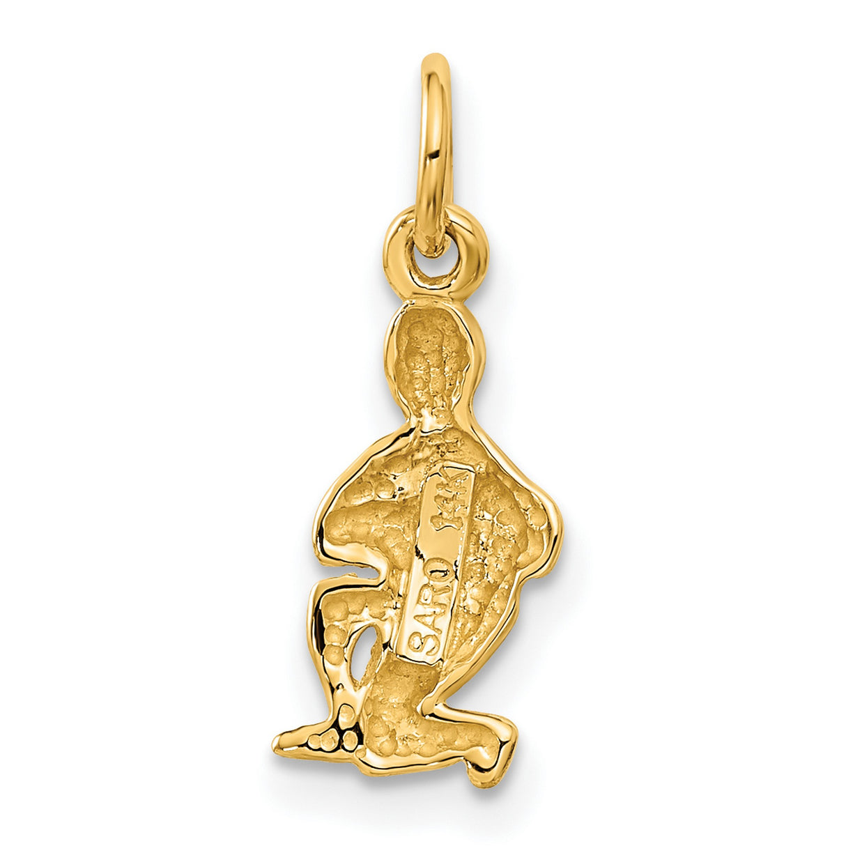 Satin Finish Water Bearer Aquarius Zodiac Sign Charm Pendant in Real 14k Yellow Gold
