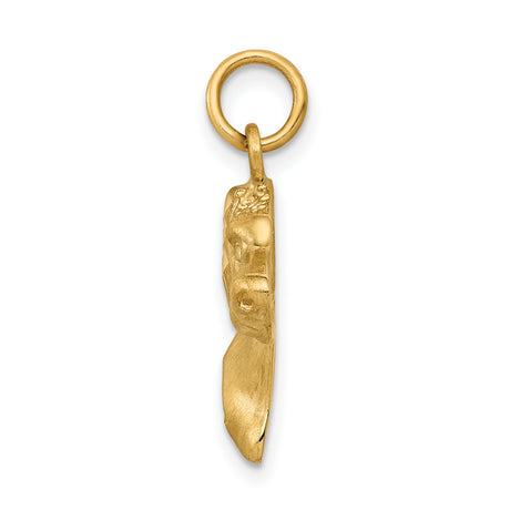 14k Yellow Gold Dog Head Pendant with Textured Finish, Hound or Doberman Design