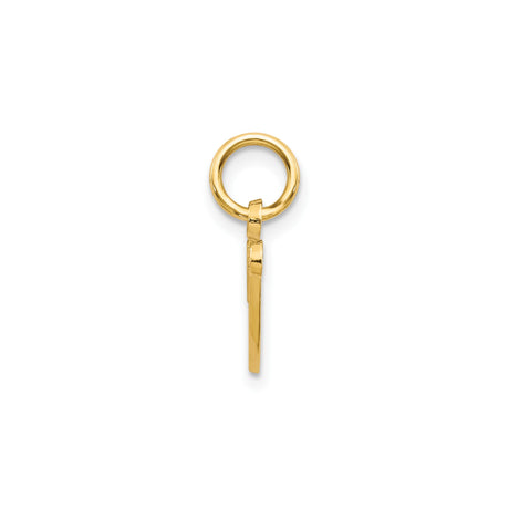 14k Yellow Gold V Initial Pendant, Script Letter Charm with Textured Design