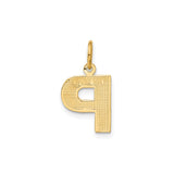 14k Yellow Gold Letter P Pendant Charm with Diamond Cut Finish, Textured Initial Design