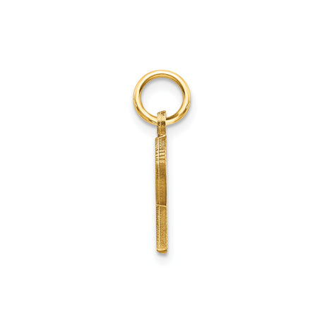 14k Yellow Gold Initial R Pendant with Diamond Cut Accents, Polished Alphabet Charm