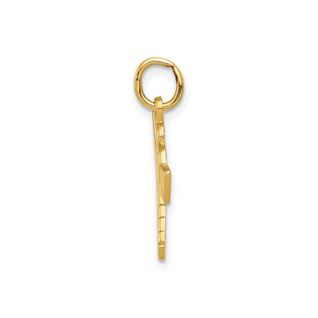 14k Yellow Gold Hockey Goalie Pendant with Helmet, Pads, and Stick, Sports Charm for Men or Boys