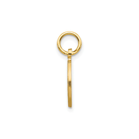 14k Yellow Gold Star of David Pendant with Textured Circle Frame and Cutout Design