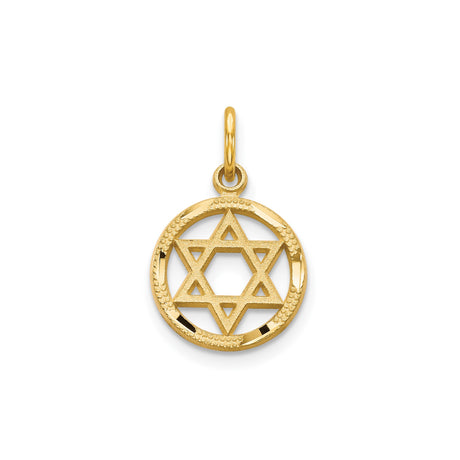 14k Yellow Gold Star of David Pendant with Textured Circle Frame and Cutout Design