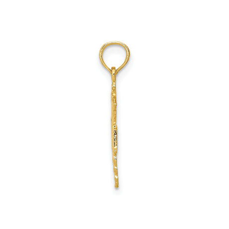 14k Yellow Gold RN Caduceus Pendant, Registered Nurse Medical Symbol Charm