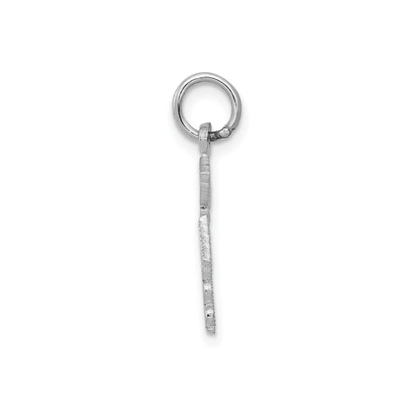 14k White Gold RN Pendant with Caduceus Symbol and Raised RN Letters