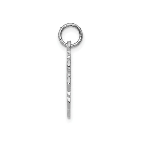 14k White Gold RN Pendant with Caduceus Symbol, Round Disc Medical Charm for Women