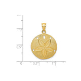 14k Yellow Gold Sand Dollar Pendant with Star Design, Nautical Beach Charm for Women