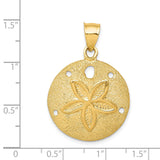 14k Yellow Gold Sand Dollar Pendant with Star Pattern, Nautical Beach Charm for Women
