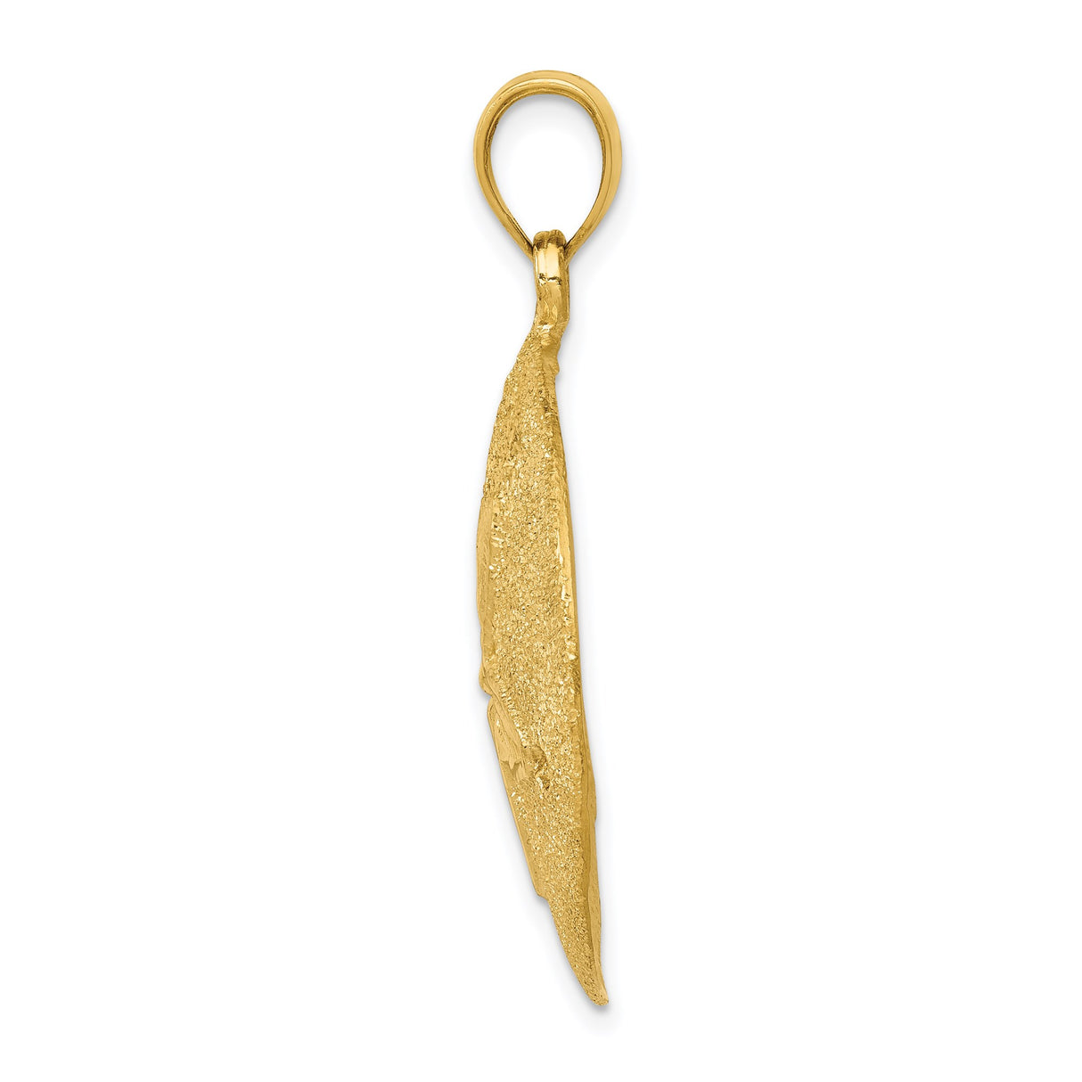14k Yellow Gold Sand Dollar Pendant with Raised Star, Nautical Beach Charm for Women