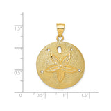 14k Yellow Gold Sand Dollar Pendant with Raised Star, Nautical Beach Charm for Women