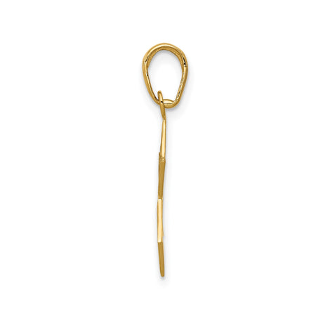 14k Yellow Gold Star of David Pendant with Textured Finish, Jewish Religious Charm