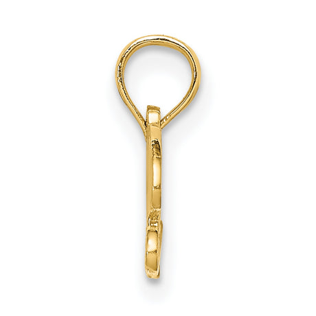 14k Yellow Gold Pendant, Script Lettering PRECIOUS Word Charm for Women