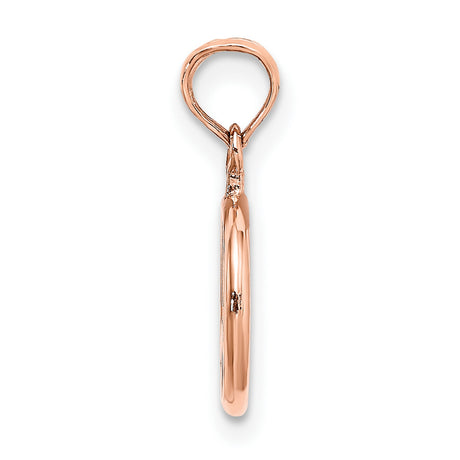 14k Rose Gold Peace Pendant, Classic Peace Symbol, Boho Spiritual Jewelry for Women and Unisex