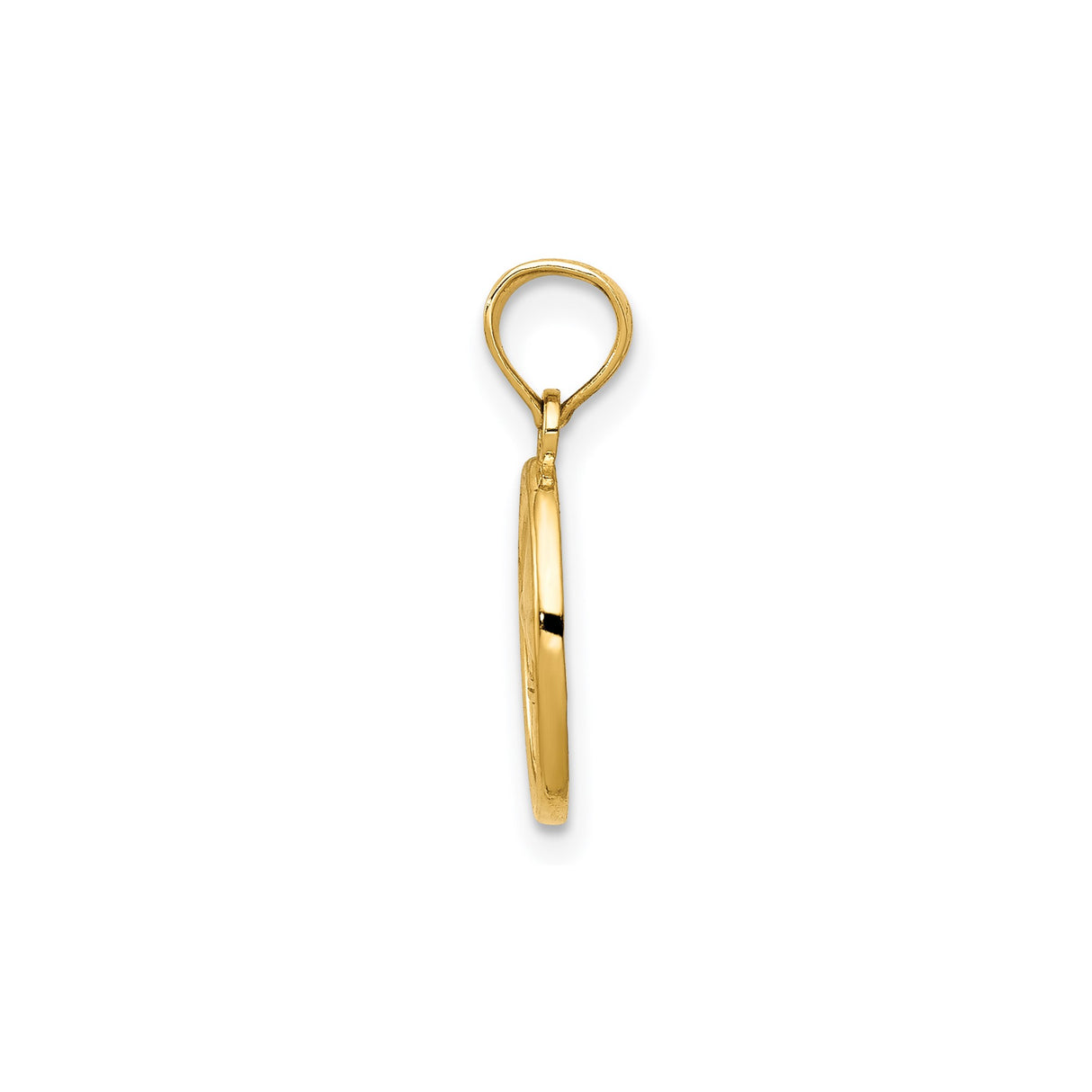 14k Yellow Gold Pendant with Raised Fleur-de-Lis Emblem, French Heritage Charm
