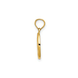14k Yellow Gold Pendant with Raised Fleur-de-Lis Emblem, French Heritage Charm