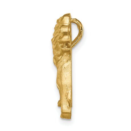 Brushed Diamond-cut Lion Chain Slide Charm Pendant in Real 14k Yellow Gold