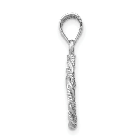 14k White Gold Virgin Mary Pendant with Twisted Rope Circle Frame, Catholic Religious Charm