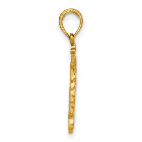 Polished Lion Head with Crown Charm Pendant in Real 14k Yellow Gold