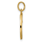 14k Yellow Gold Ichthys Fish Pendant, Christian Symbol Minimalist Religious Jewelry