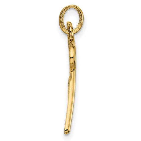 14k Yellow Gold Script Initial Z Pendant, Polished Letter Charm for Women