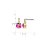10k Yellow Gold Stud Earrings with Created Pink Sapphire and Diamond Accents, Infinity Design