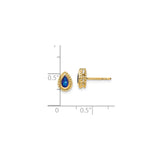 14k Yellow Gold Teardrop Stud Earrings with Sapphire in Beaded Setting