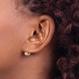 14k Yellow Gold Leverback Heart Earrings with Pink Cubic Zirconia for Women