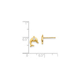 14k Yellow Gold Dolphin Stud Earrings with Cubic Zirconia, Ocean Theme Jewelry for Women or Girls