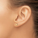 14k Yellow Gold Elephant Stud Earrings with Rose Gold Ears, Mother of Pearl, Playful Animal Design