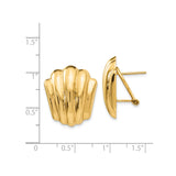14k Yellow Gold Shell Stud Earrings with Polished Ridged Nautical Design