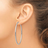 14k White Gold Hoop Earrings, Lightweight Endless Design, High Polish Finish, Unisex Style