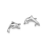 14k White Gold Dolphin Stud Earrings with Playful Ocean Motif Design