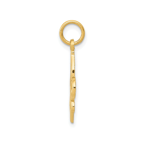 14k Yellow Gold Fleur de Lis Pendant, Polished Openwork French Symbol for Women