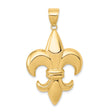 14k Yellow Gold Fleur de Lis Pendant, French Lily Symbol, Unisex or Mens Charm