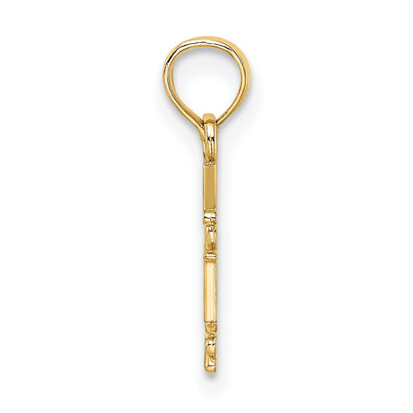 14k Yellow Gold RN Pendant with Caduceus Symbol, Registered Nurse Medallion for Healthcare Professionals