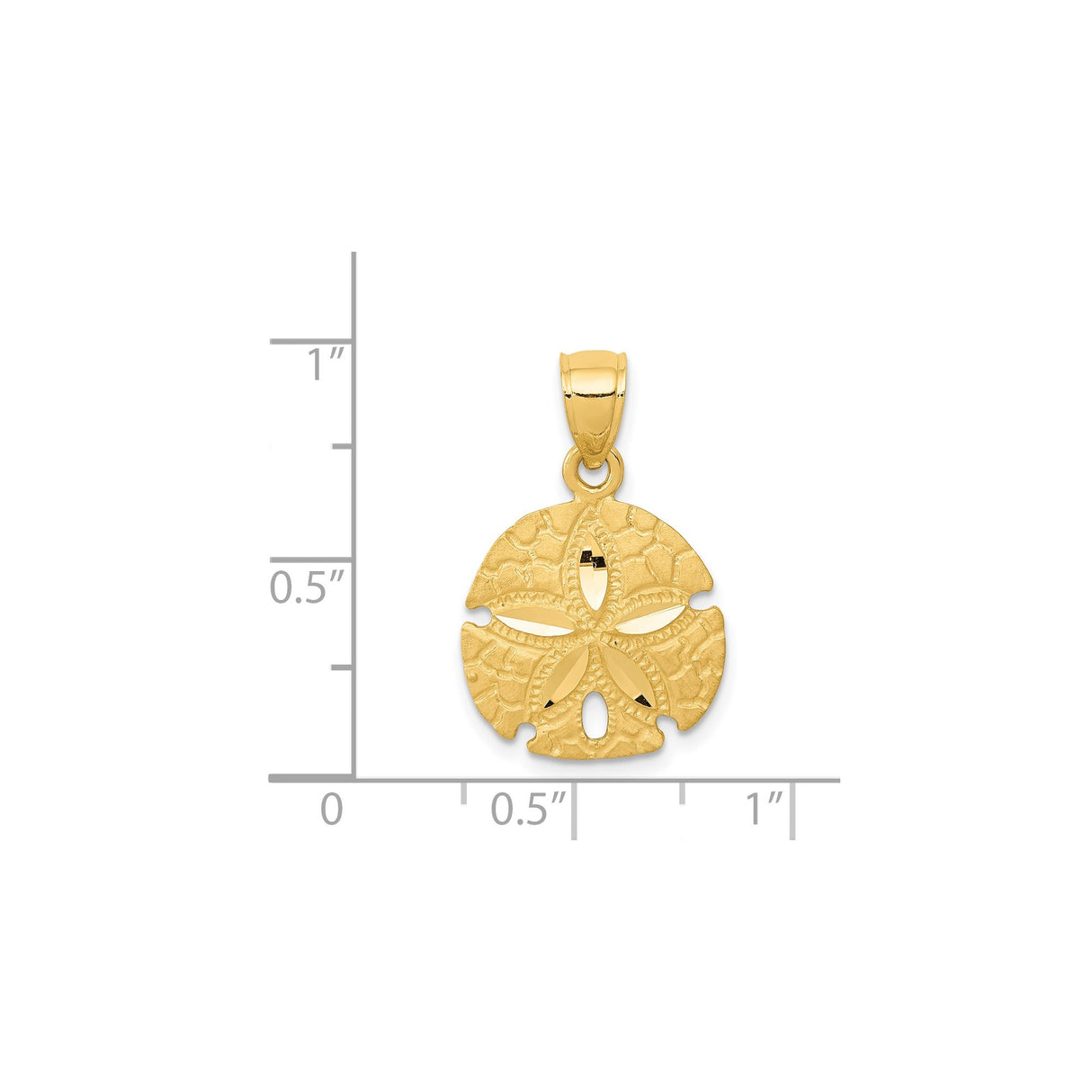 14k Yellow Gold Sand Dollar Pendant with Cut-Out Design, Coastal Beach Jewelry Charm