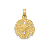 14k Yellow Gold Sand Dollar Pendant with Textured Finish and Star Center Design