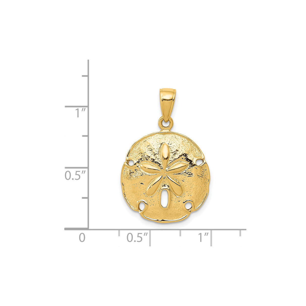14k Yellow Gold Sand Dollar Pendant, Ocean-Inspired Nautical Charm for Women
