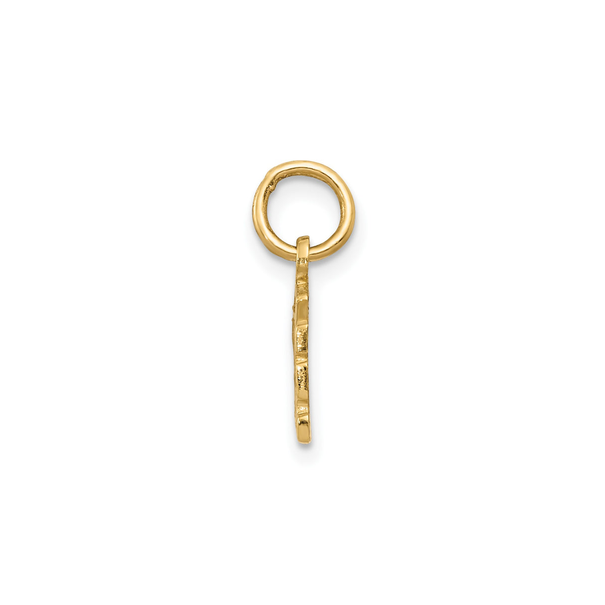 14k Yellow Gold Cheese Wedge Pendant Charm, Swiss Cheese Slice Design, Culinary Theme