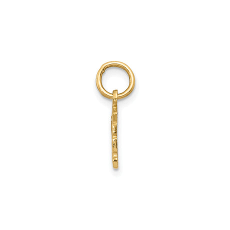 14k Yellow Gold Cheese Wedge Pendant Charm, Swiss Cheese Slice Design, Culinary Theme