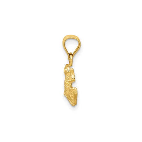 14k Yellow Gold Frog Pendant Charm with Textured Detail and Realistic Design