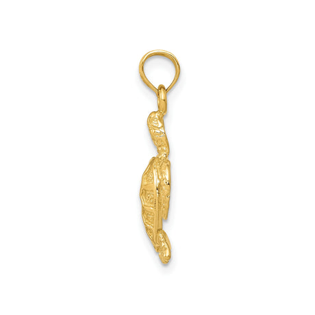 14k Yellow Gold Sea Turtle Pendant with Detailed Shell Design, Ocean Symbol Jewelry for Men or Women