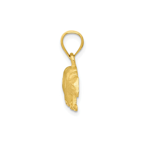 14k Yellow Gold Walking Bear Pendant, Realistic Wildlife Animal Design for Men or Unisex